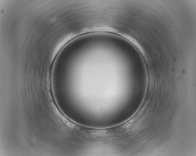 X0000060791006200511171303