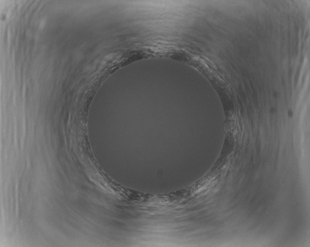 X0000060791009200511171302