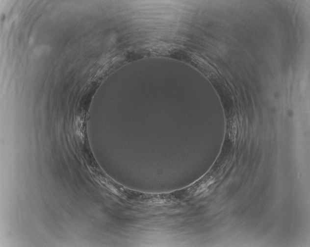 X0000060791010200511171302