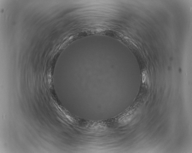 X0000060791011200511171302