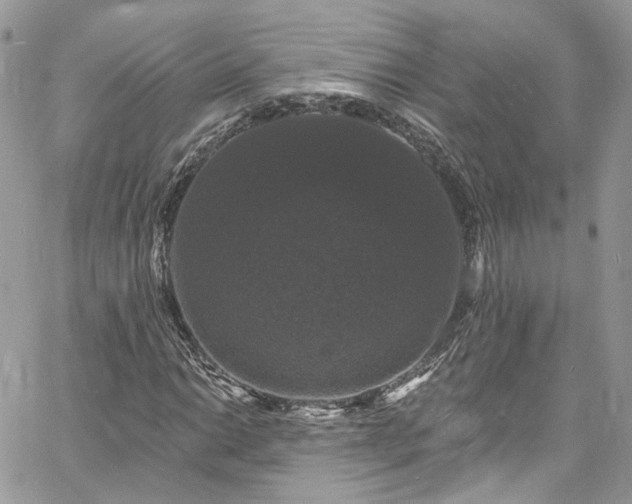 X0000060791014200511171302