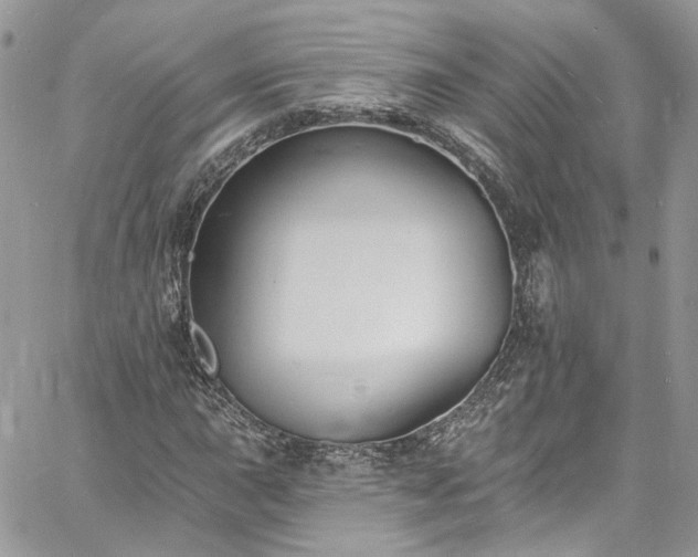 X0000060791015200511171302