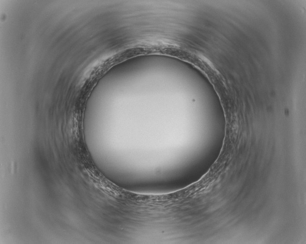 X0000060791016200511171302