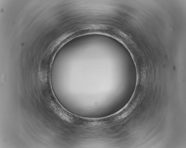 X0000060791017200511171303