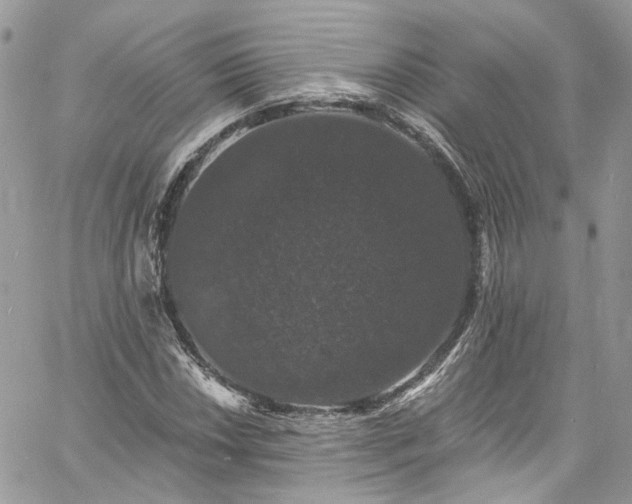 X0000060791018200511171303