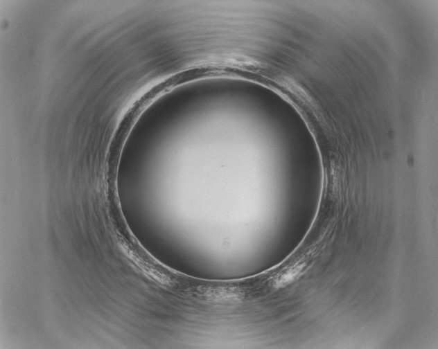 X0000060791020200511171303