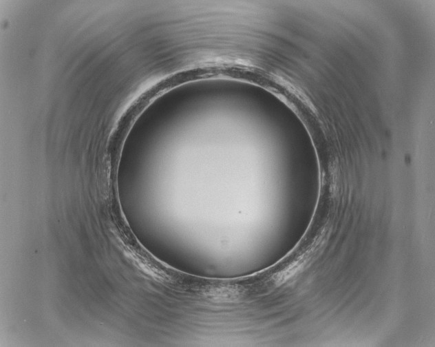 X0000060791021200511171303