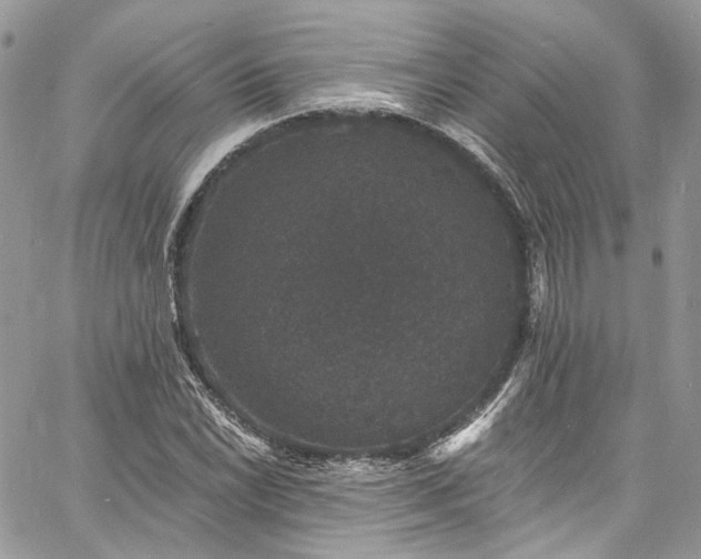 X0000060791022200511171303