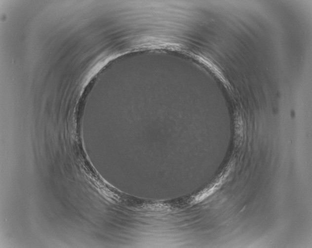 X0000060791023200511171303