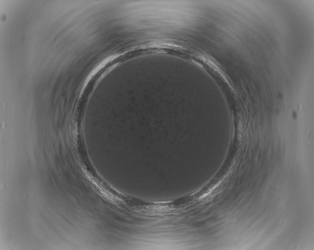 X0000060791024200511171303