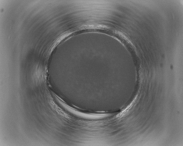 X0000060791025200511171303