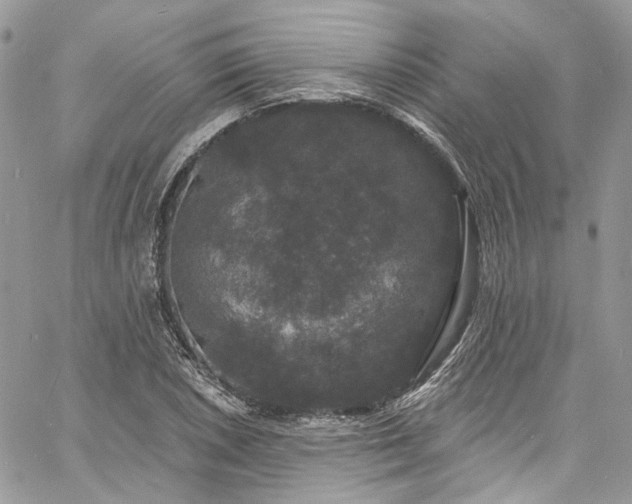 X0000060791026200511171303