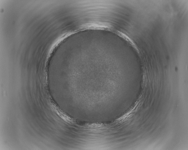 X0000060791027200511171303