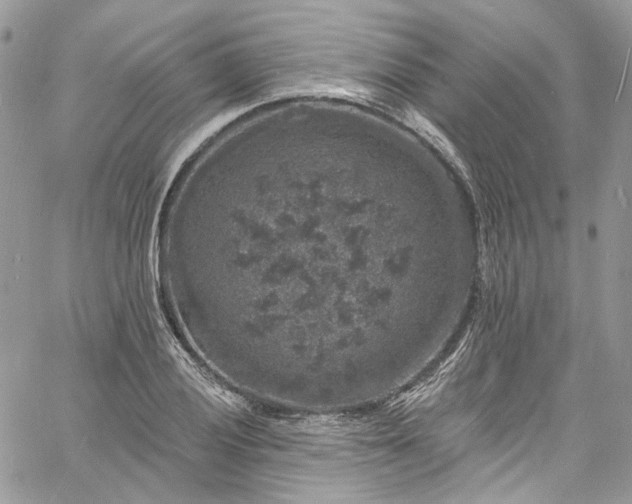 X0000060791028200511171303