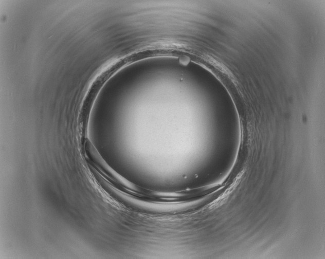 X0000060791029200511171303