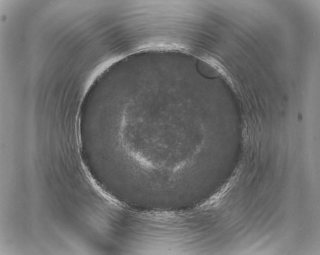 X0000060791030200511171303