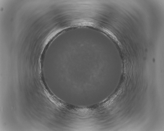 X0000060791031200511171303