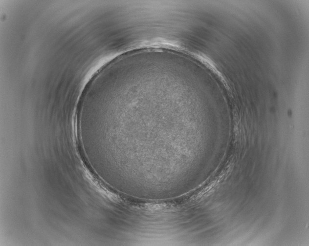 X0000060791032200511171303