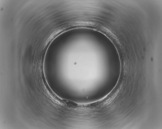 X0000060791033200511171303