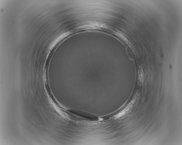 X0000060791034200511171303