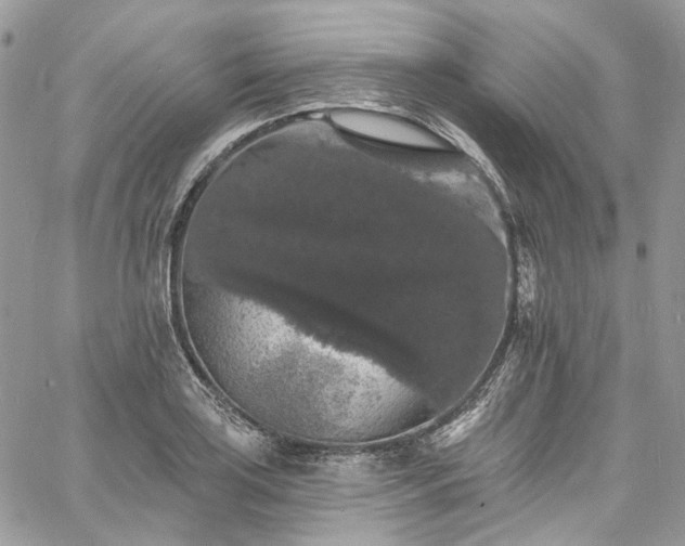 X0000060791035200511171303