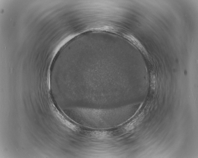 X0000060791036200511171303