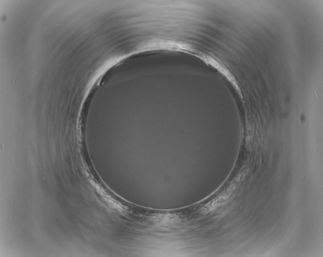 X0000060791037200511171303