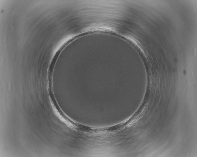 X0000060791038200511171303