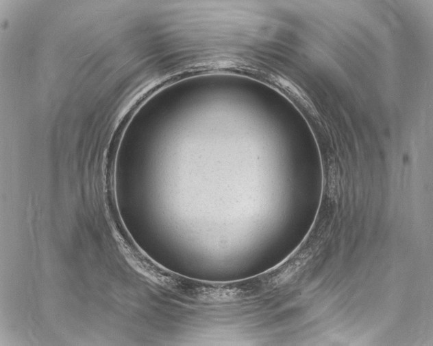 X0000060791039200511171303