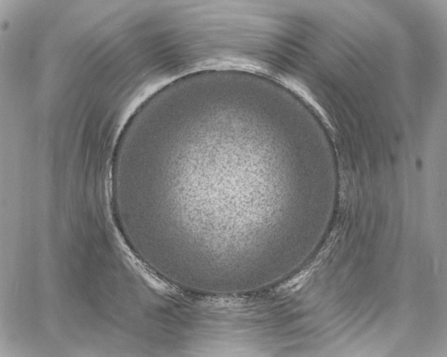 X0000060791040200511171303