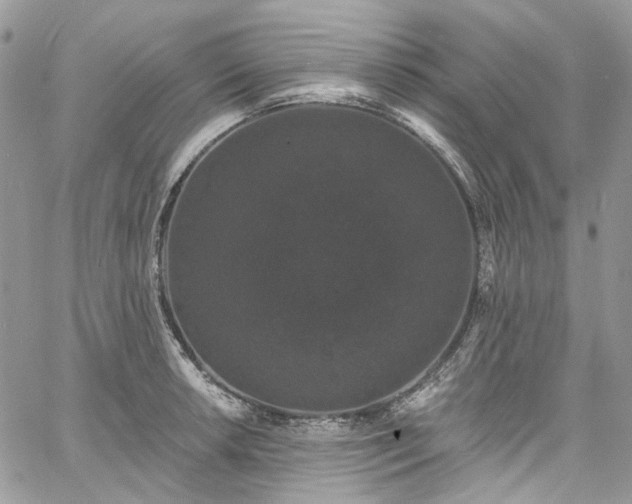 X0000060791042200511171303