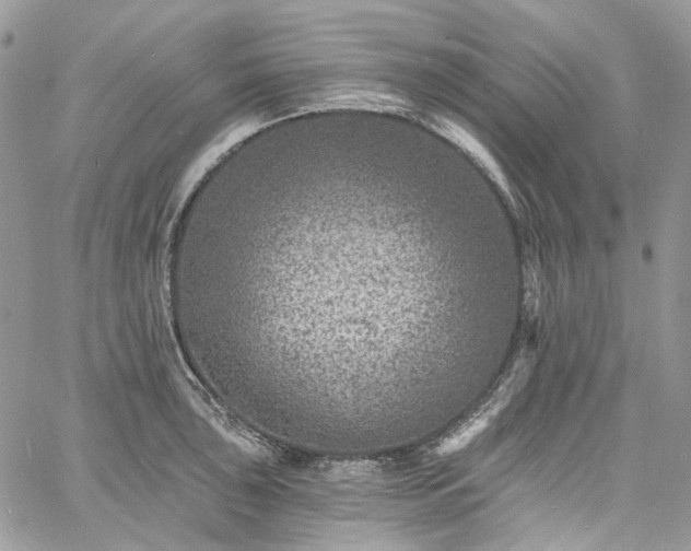 X0000060791043200511171303