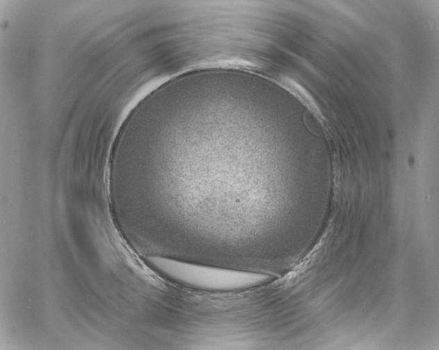 X0000060791044200511171303