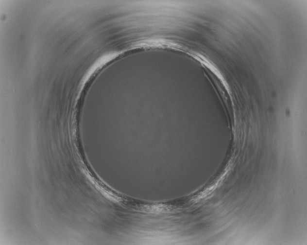 X0000060791045200511171303