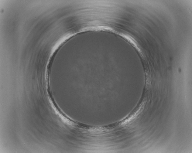 X0000060791046200511171303