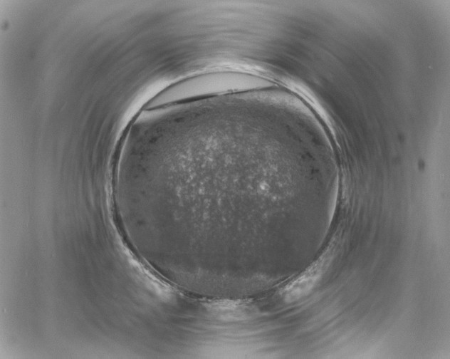 X0000060791048200511171303