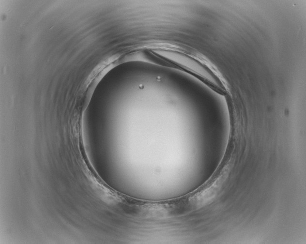 X0000060791049200511171303