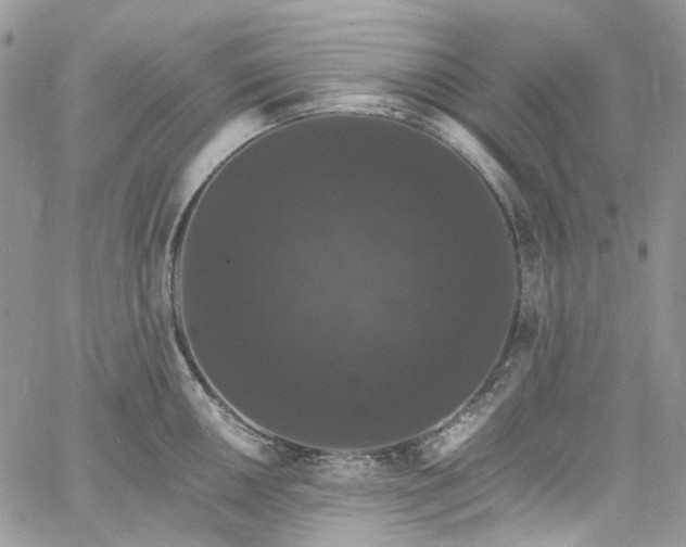 X0000060791050200511171303