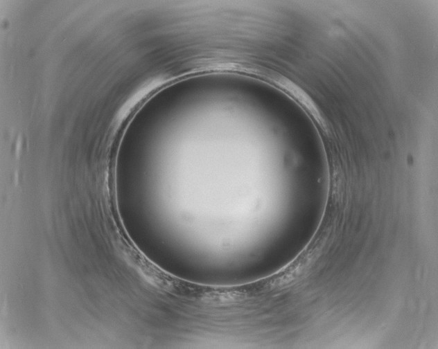 X0000060791051200511171303