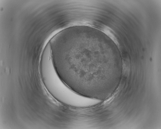 X0000060791052200511171303