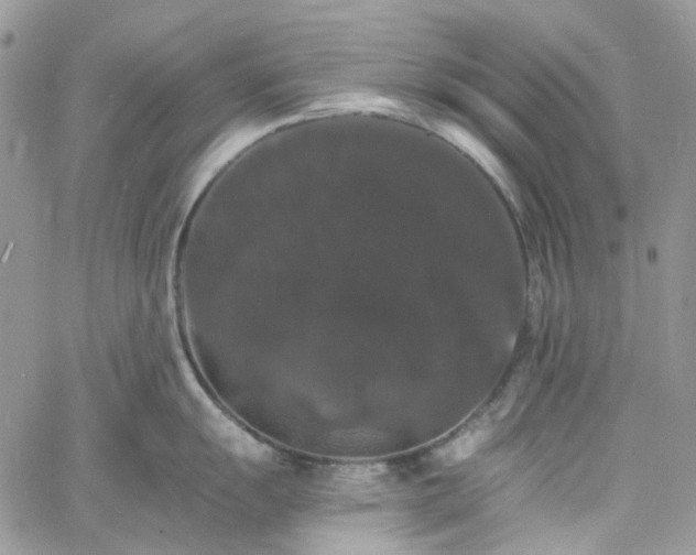 X0000060791055200511171303