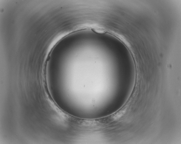 X0000060791056200511171303