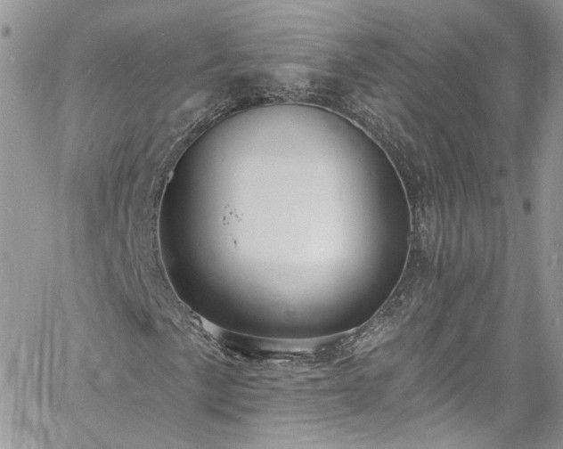 X0000060791057200511171302