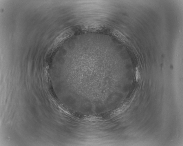 X0000060791059200511171302