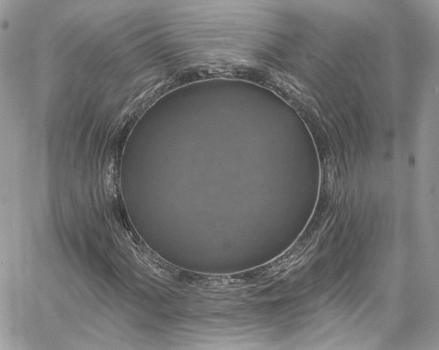 X0000060791060200511171302