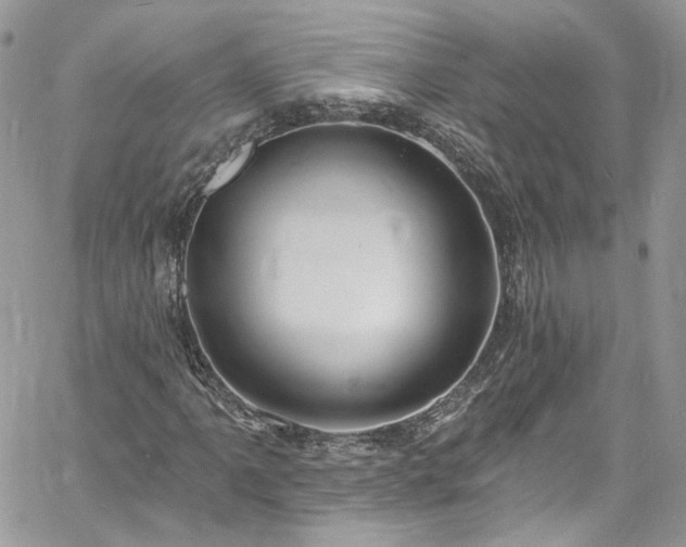 X0000060791061200511171302