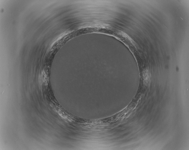 X0000060791064200511171302