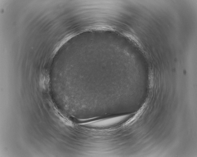 X0000060791065200511171302