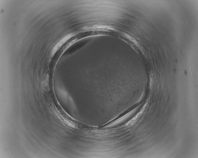 X0000060791066200511171302