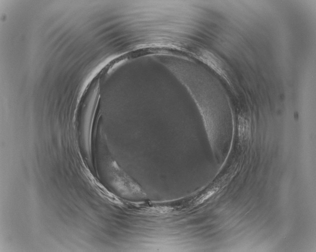 X0000060791068200511171302